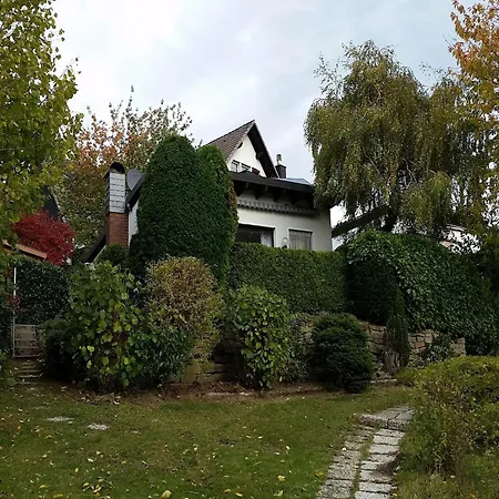 Sorpesee Mit Panoramablick * Langscheid (North Rhine-Westphalia)