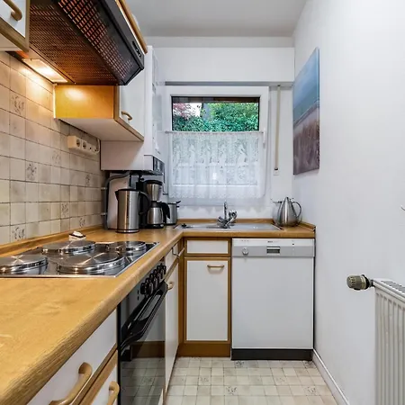 Sorpesee Mit Panoramablick *