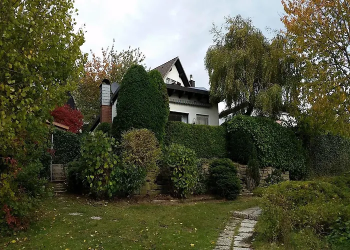 Sorpesee Mit Panoramablick * Langscheid (North Rhine-Westphalia)