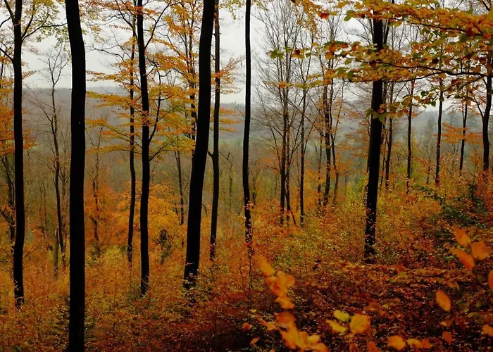 Sorpesee Mit Panoramablick Feriehus Langscheid (North Rhine-Westphalia)