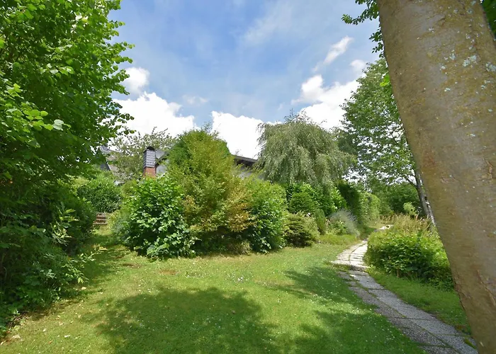 Sorpesee Mit Panoramablick *